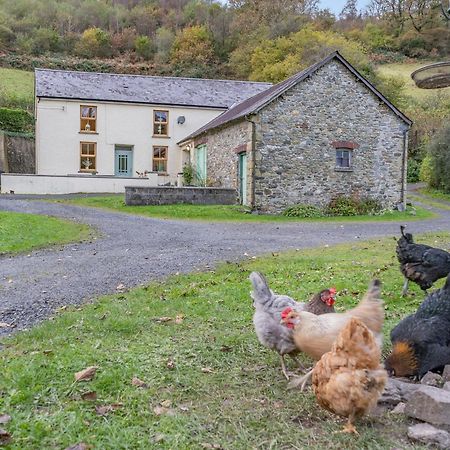 Pwll Farmhouse Llanllawdog Esterno foto