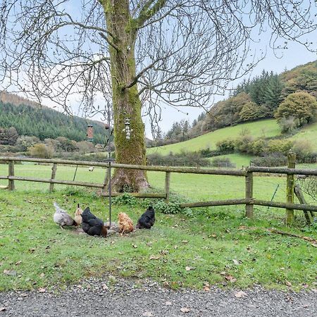 Pwll Farmhouse Llanllawdog Esterno foto
