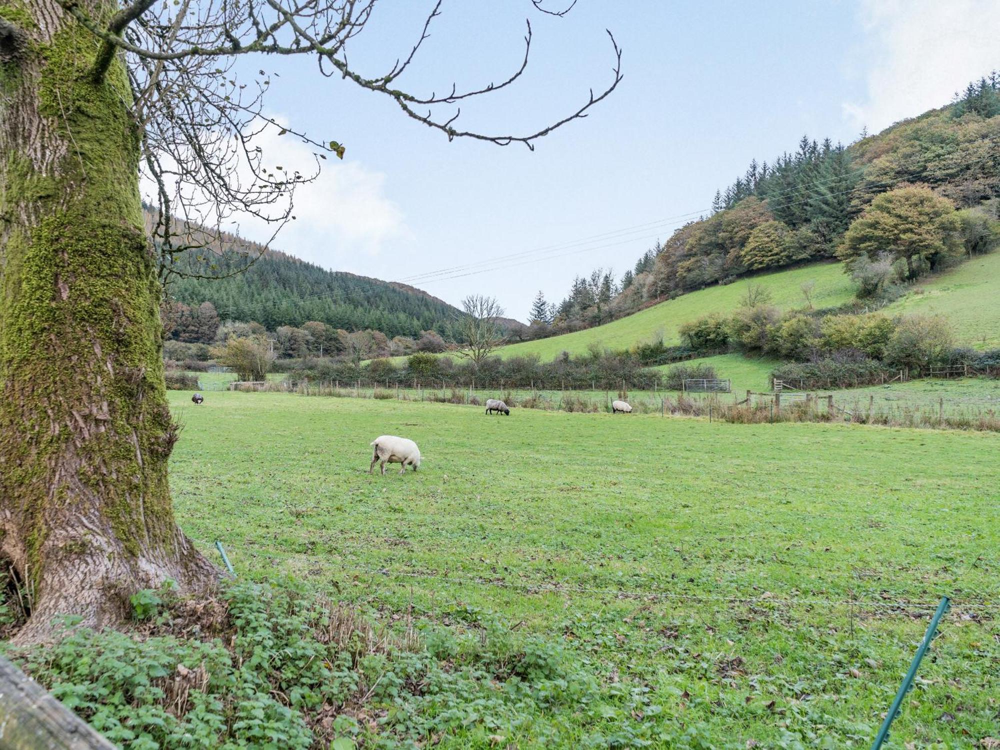 Pwll Farmhouse Llanllawdog Esterno foto